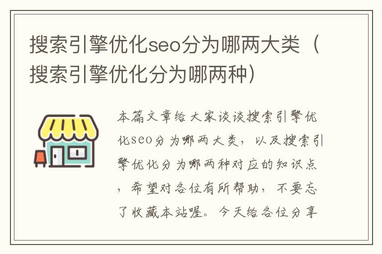 搜索引擎优化seo分为哪两大类（搜索引擎优化分为哪两种）