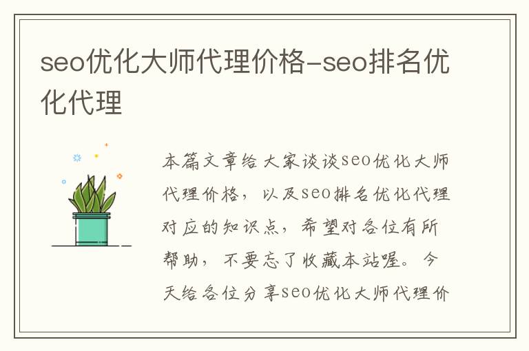 seo优化大师代理价格-seo排名优化代理