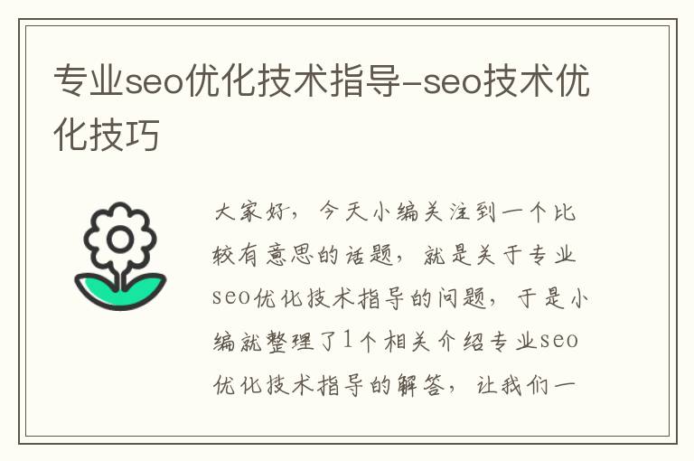 专业seo优化技术指导-seo技术优化技巧