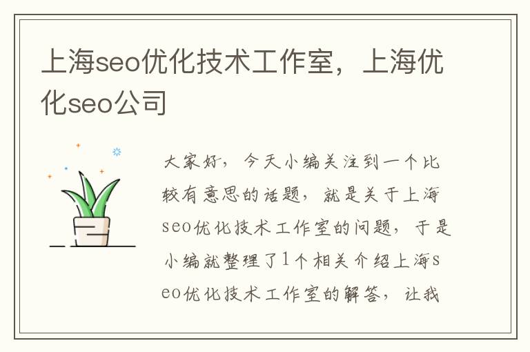 上海seo优化技术工作室，上海优化seo公司