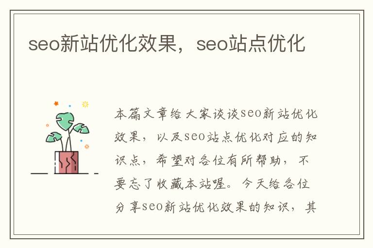 seo新站优化效果，seo站点优化