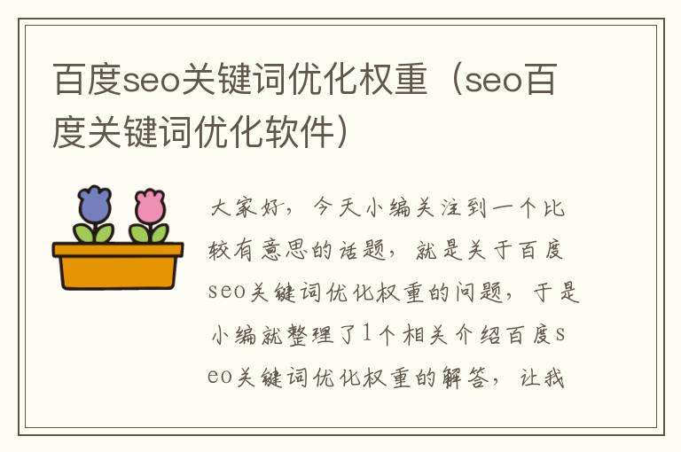 百度seo关键词优化权重（seo百度关键词优化软件）