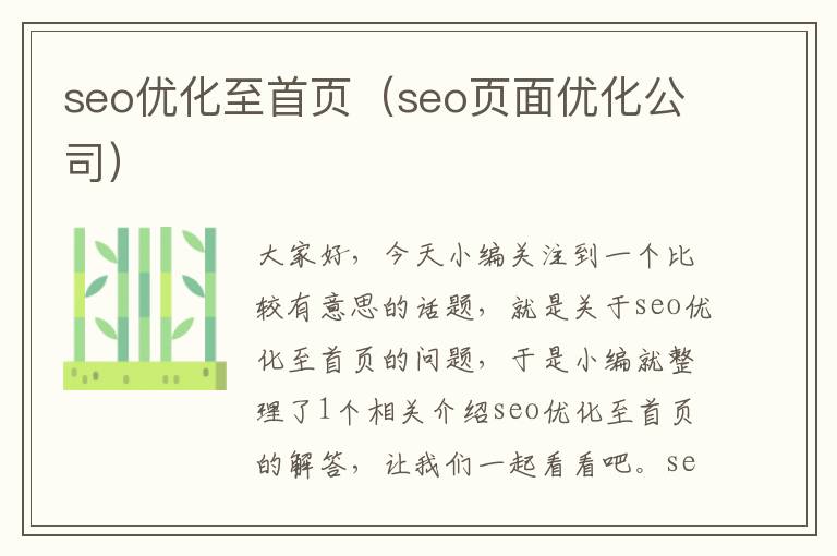 seo优化至首页（seo页面优化公司）