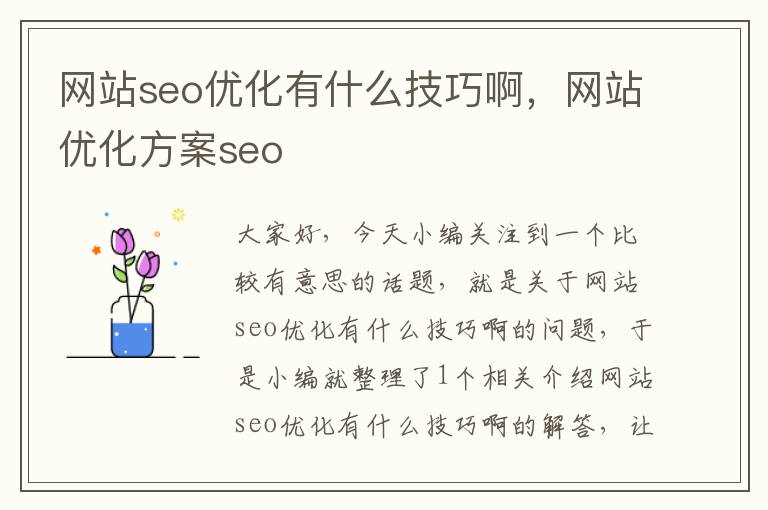 网站seo优化有什么技巧啊，网站优化方案seo