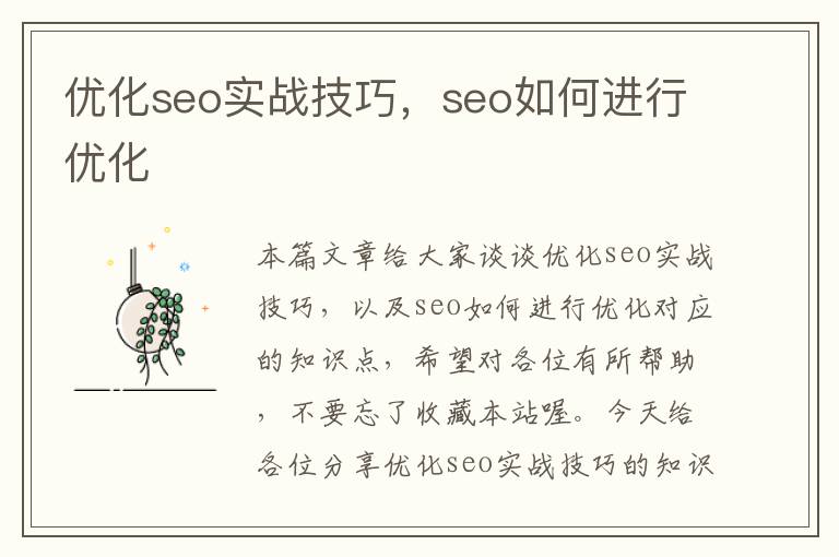 优化seo实战技巧，seo如何进行优化