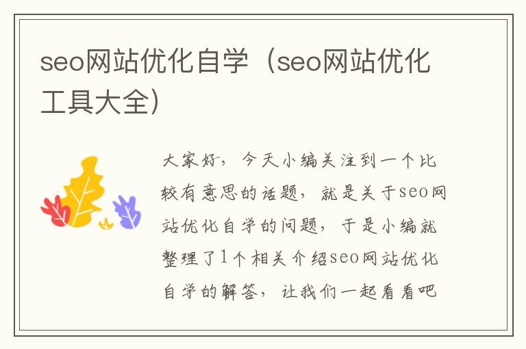 seo网站优化自学（seo网站优化工具大全）