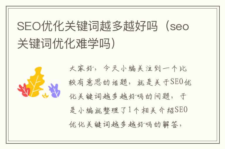 SEO优化关键词越多越好吗（seo关键词优化难学吗）