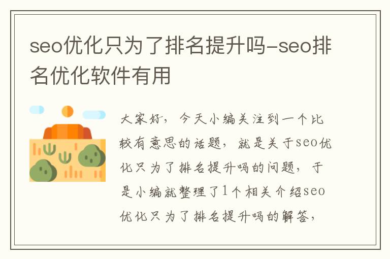 seo优化只为了排名提升吗-seo排名优化软件有用