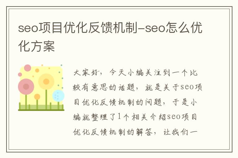 seo项目优化反馈机制-seo怎么优化方案