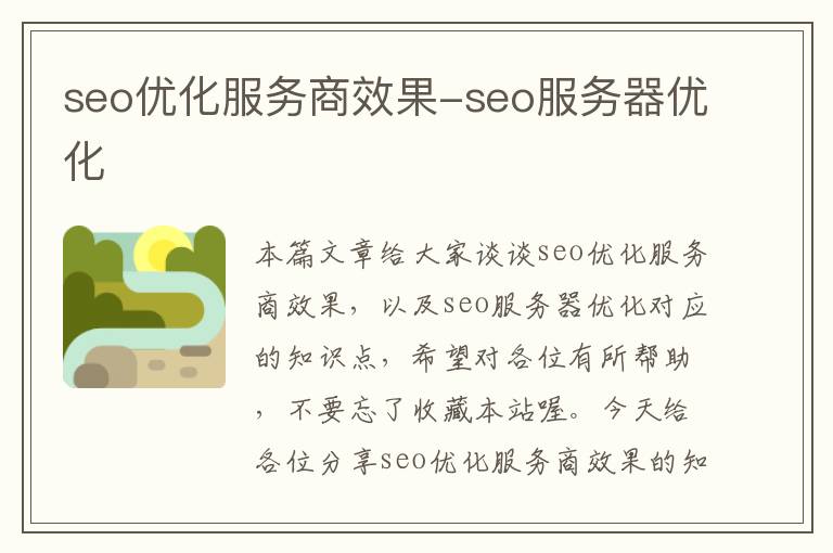 seo优化服务商效果-seo服务器优化