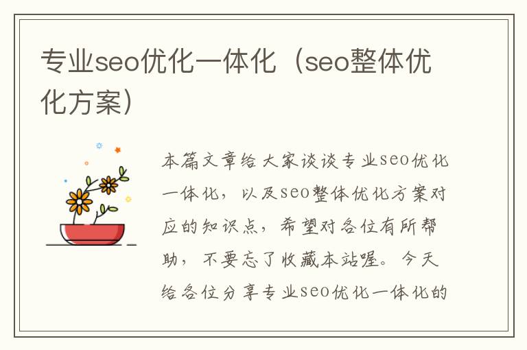 专业seo优化一体化（seo整体优化方案）