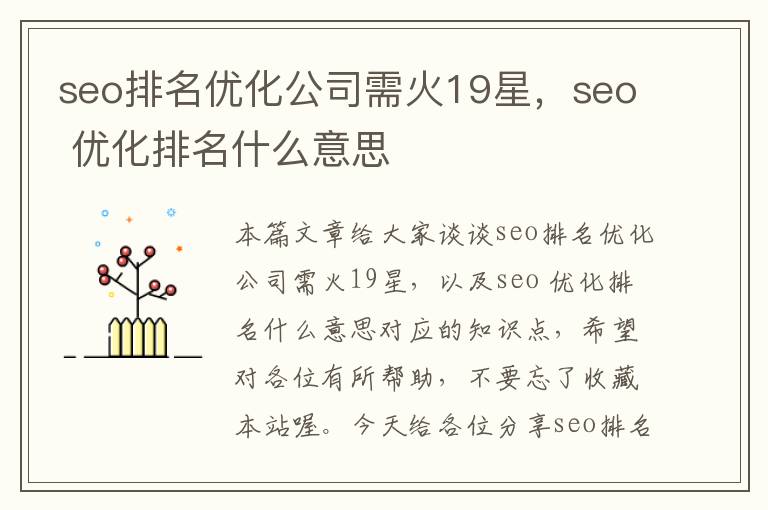 seo排名优化公司需火19星，seo 优化排名什么意思