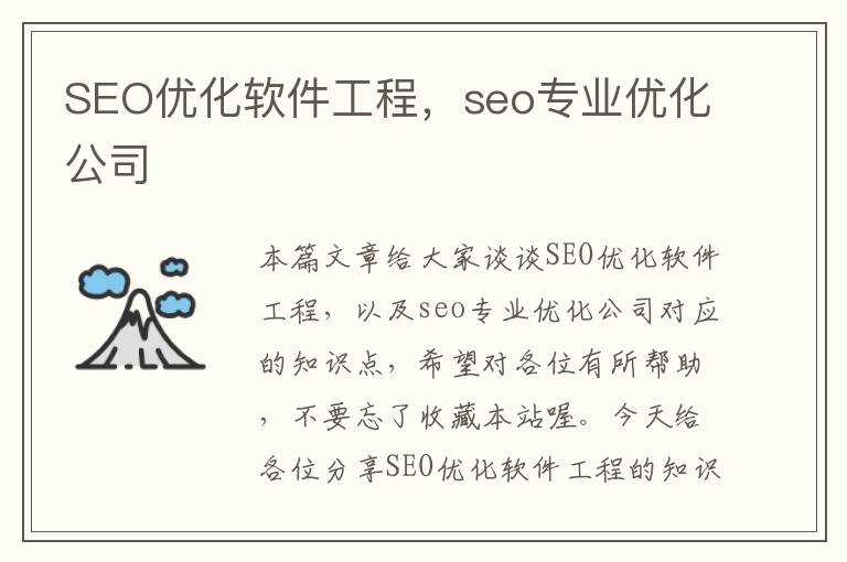 SEO优化软件工程，seo专业优化公司