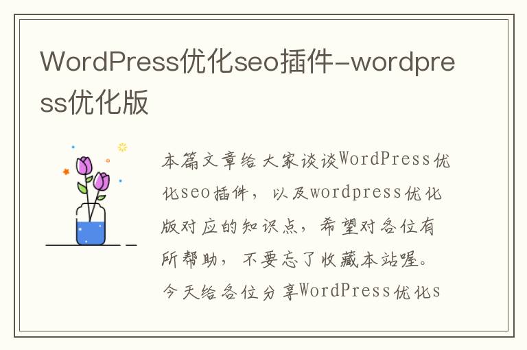 WordPress优化seo插件-wordpress优化版