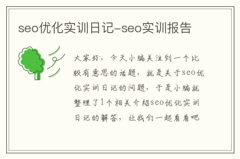 seo优化实训日记-seo实训报告