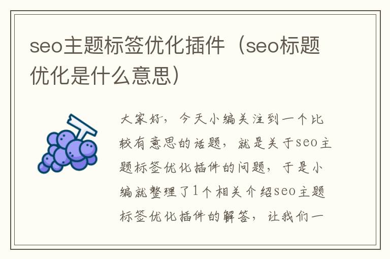 seo主题标签优化插件（seo标题优化是什么意思）