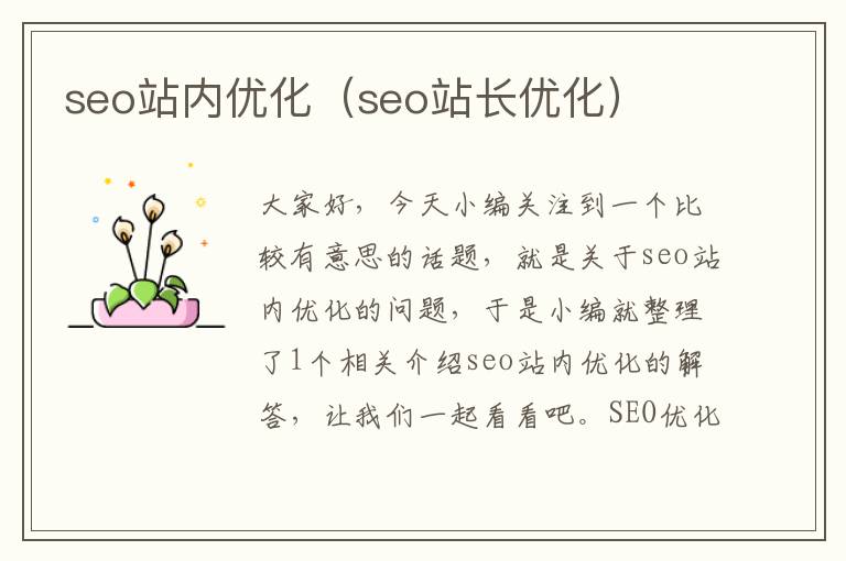 seo站内优化（seo站长优化）