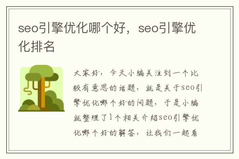 seo引擎优化哪个好，seo引擎优化排名