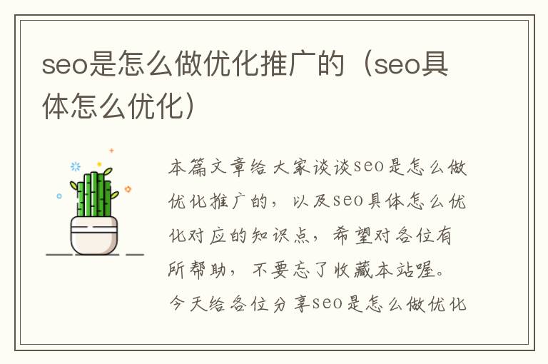 seo是怎么做优化推广的（seo具体怎么优化）