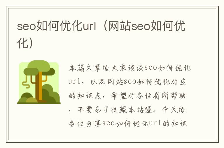 seo如何优化url（网站seo如何优化）