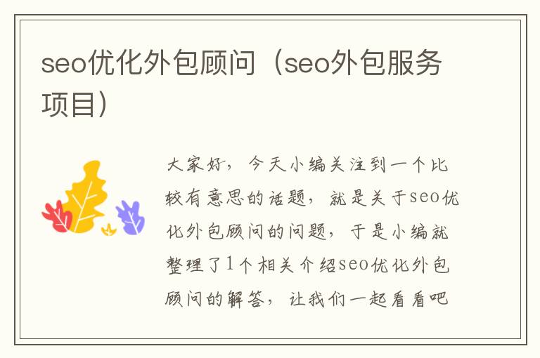 seo优化外包顾问（seo外包服务项目）