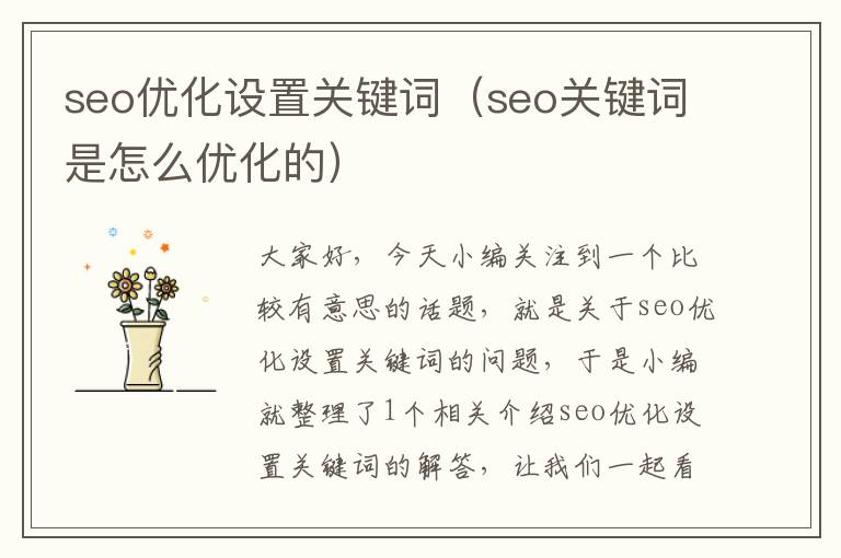 seo优化设置关键词（seo关键词是怎么优化的）