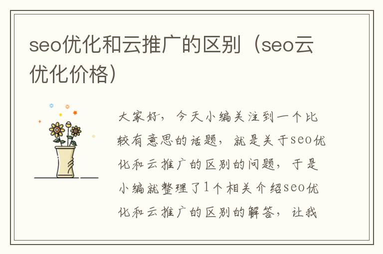 seo优化和云推广的区别（seo云优化价格）