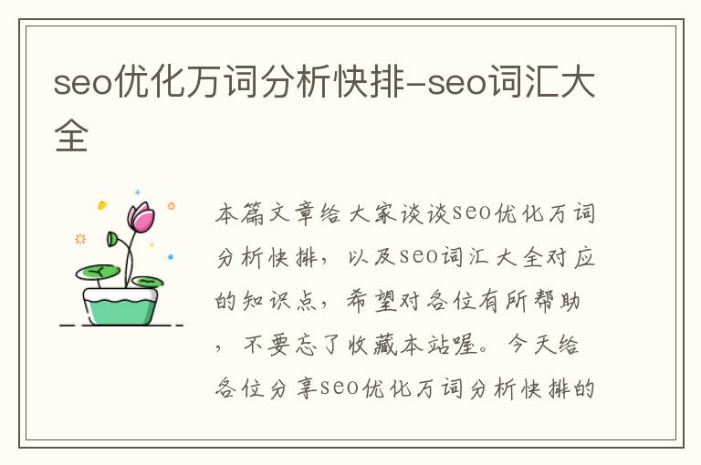 seo优化万词分析快排-seo词汇大全