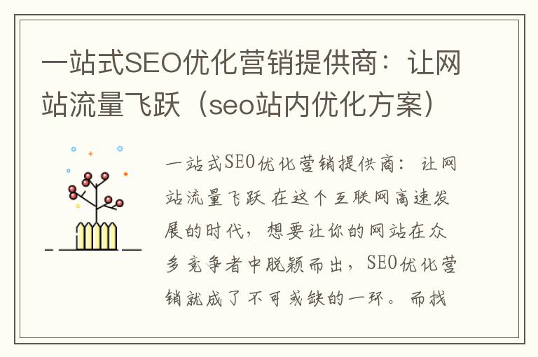 一站式SEO优化营销提供商：让网站流量飞跃（seo站内优化方案）