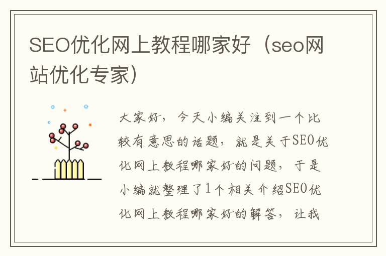 SEO优化网上教程哪家好（seo网站优化专家）