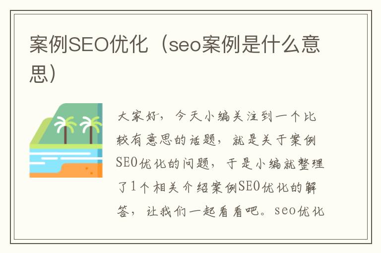 案例SEO优化（seo案例是什么意思）