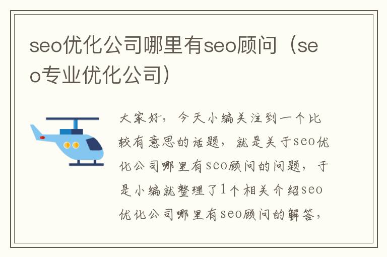 seo优化公司哪里有seo顾问（seo专业优化公司）