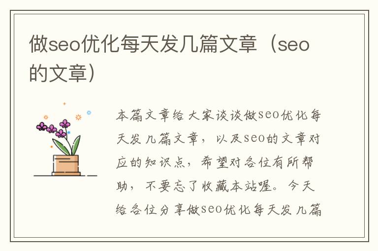 做seo优化每天发几篇文章（seo的文章）