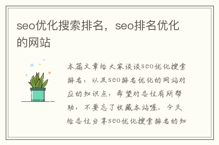 seo优化搜索排名，seo排名优化的网站