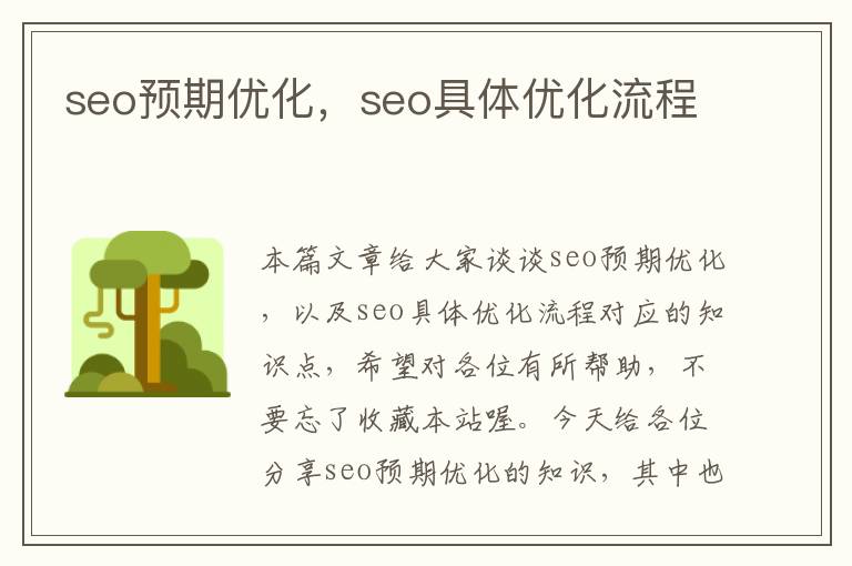 seo预期优化，seo具体优化流程