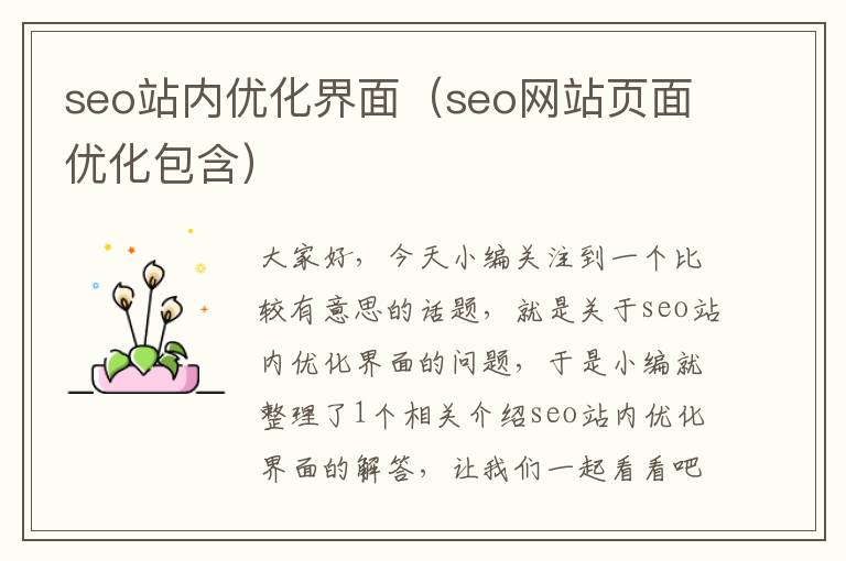 seo站内优化界面（seo网站页面优化包含）