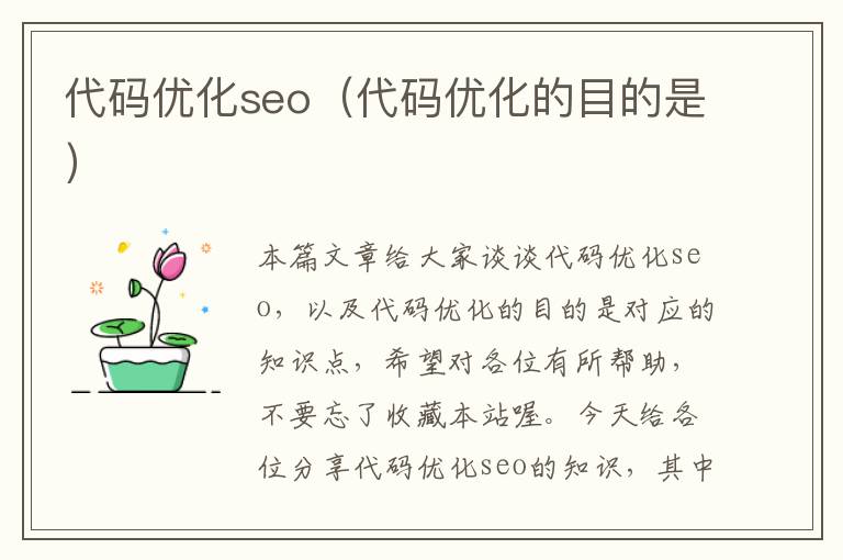 代码优化seo（代码优化的目的是）