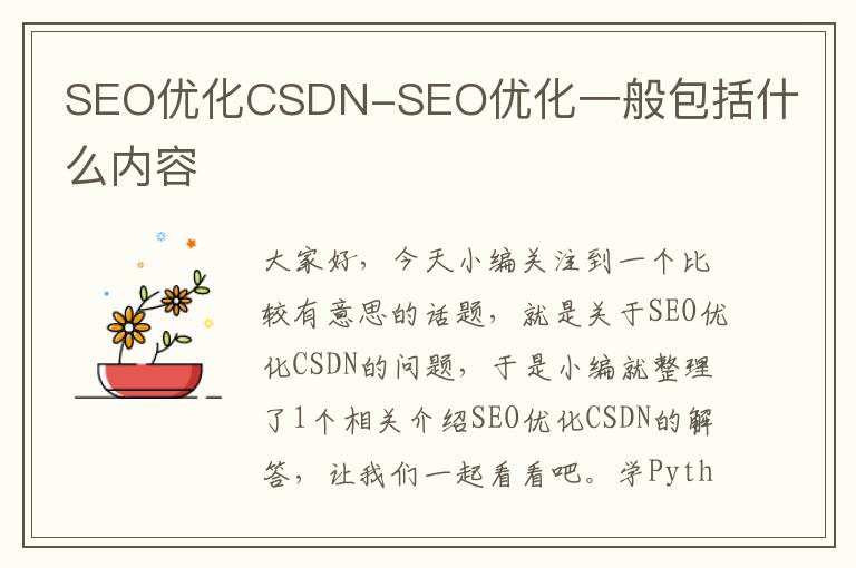 SEO优化CSDN-SEO优化一般包括什么内容