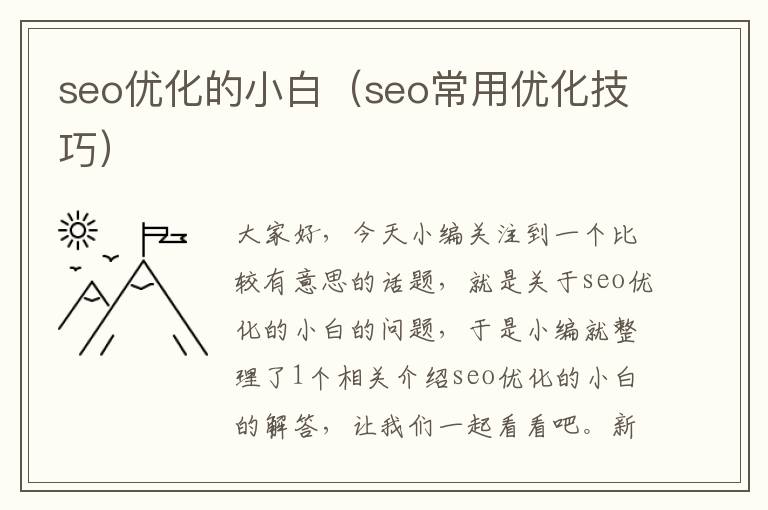 seo优化的小白（seo常用优化技巧）