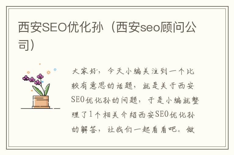 西安SEO优化孙（西安seo顾问公司）