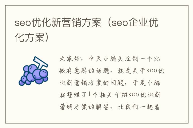 seo优化新营销方案（seo企业优化方案）