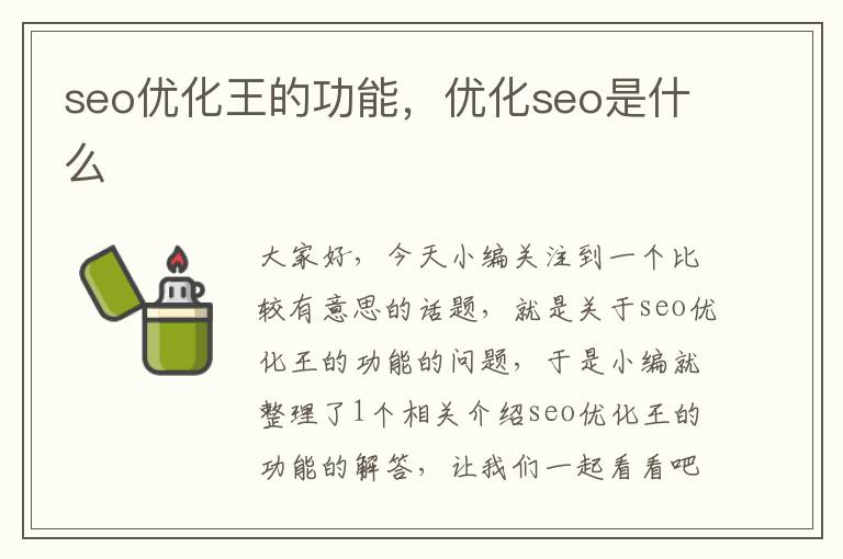 seo优化王的功能，优化seo是什么