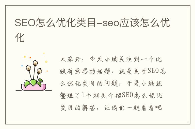 SEO怎么优化类目-seo应该怎么优化