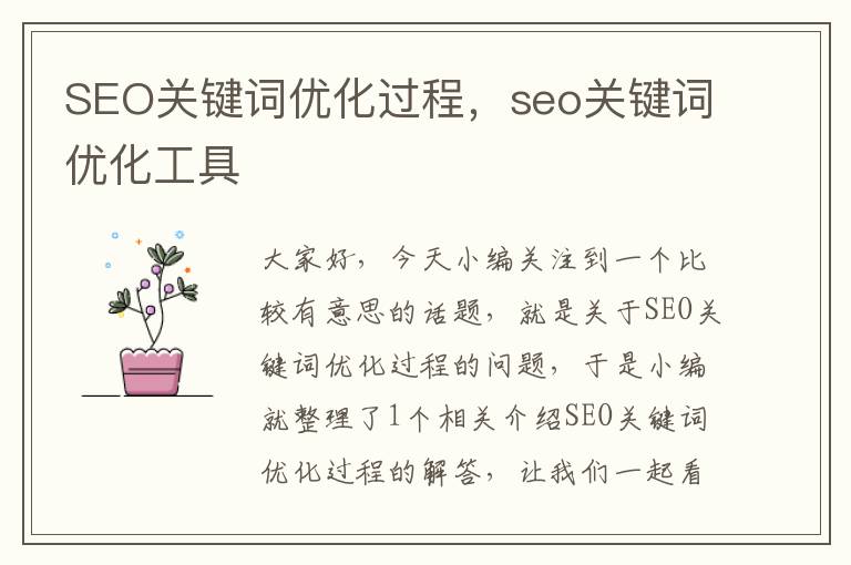 SEO关键词优化过程，seo关键词优化工具