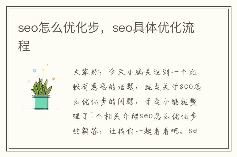 seo怎么优化步，seo具体优化流程