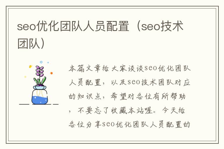 seo优化团队人员配置（seo技术团队）