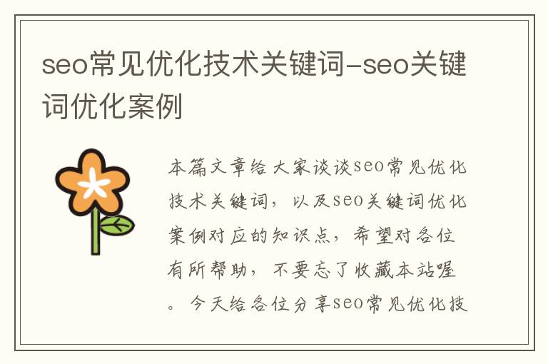 seo常见优化技术关键词-seo关键词优化案例