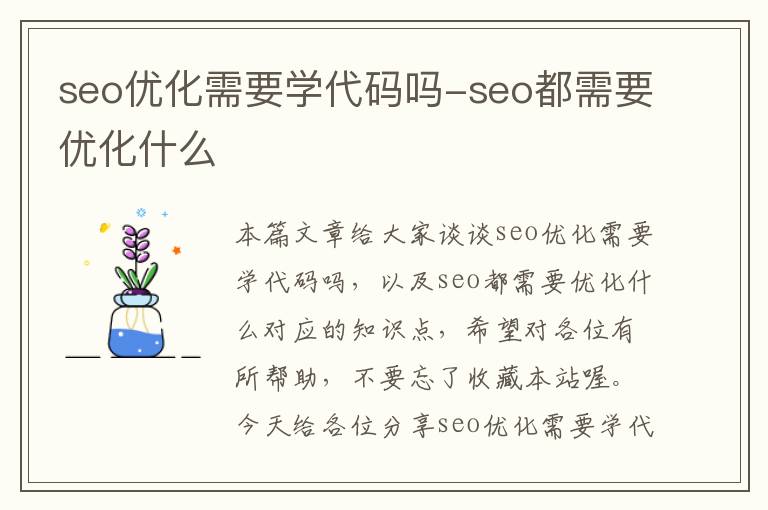 seo优化需要学代码吗-seo都需要优化什么