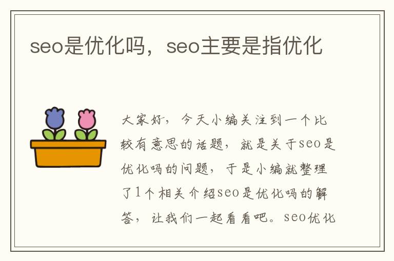 seo是优化吗，seo主要是指优化