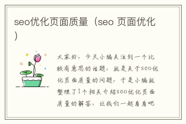 seo优化页面质量（seo 页面优化）